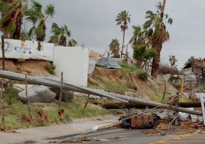 Read more about the article Hurricane Irma Hit Most Part of the Floral Industry of Tucson