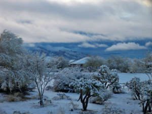 Read more about the article Snow Falls on Tucson, Multiple Road Closures