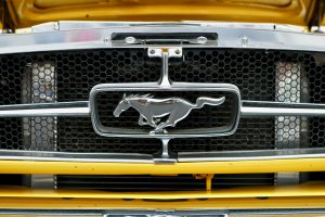 Read more about the article Ford EV Boss Slams Tesla: That Must Sting From The Mustangs!